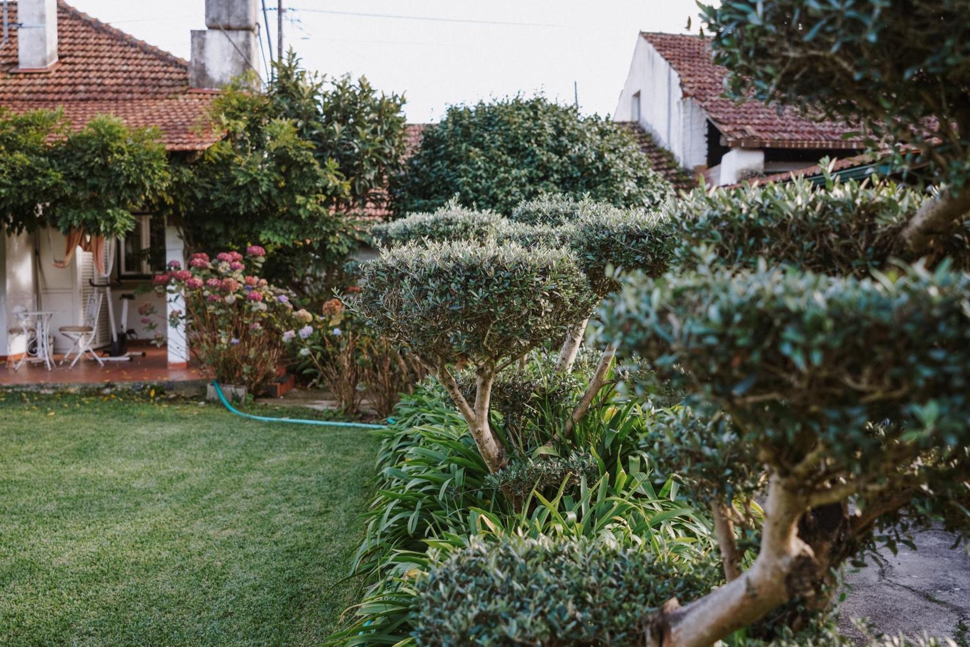 Casa Rural Oliveira Do Bairro Buitenkant foto